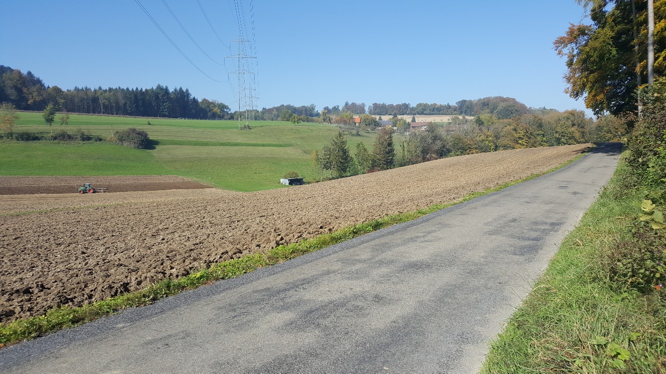 Hanenberg_1