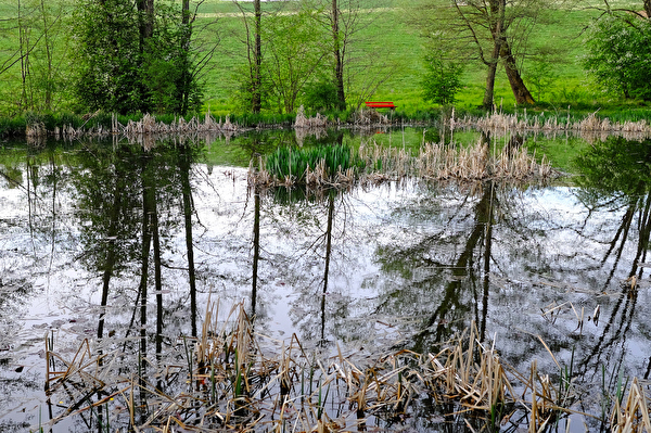 Birchweiher