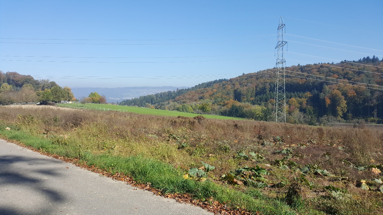 Riglisberg_1
