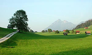 Blick auf einen Teil der sogenannten Sachsler Allmend