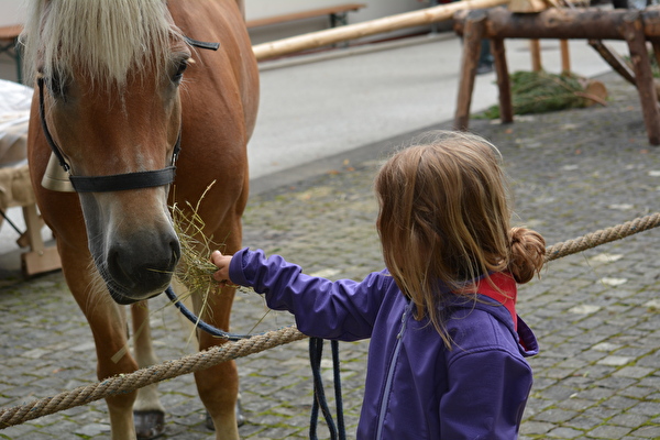 Säumerfest