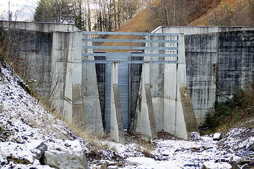 Geschiebesammler Totenbühlbach