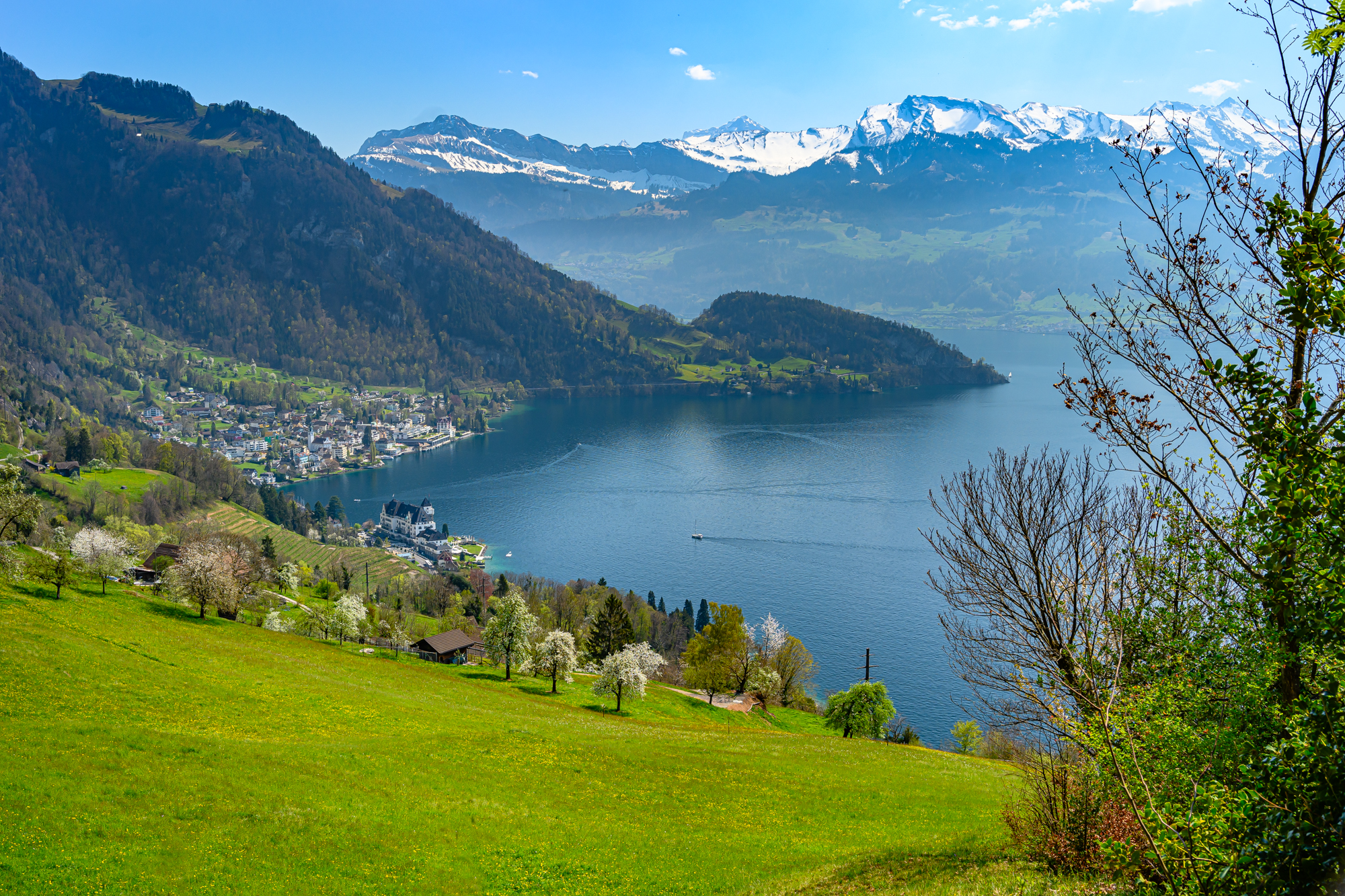 Blick auf Vitznau