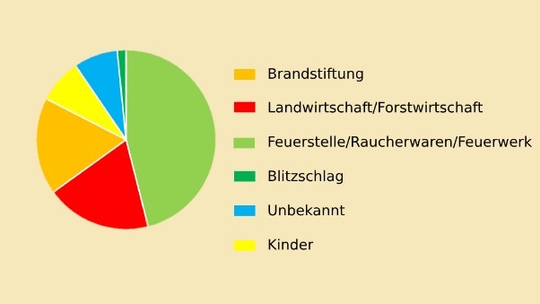 Kuchendiagramm 2