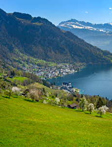 Blick auf Vitznau