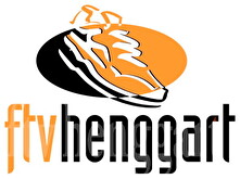 Logo FTV