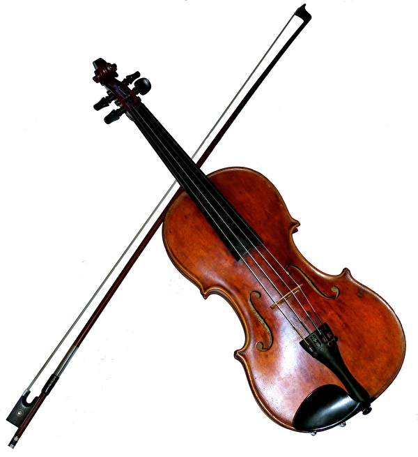 Bild Violine