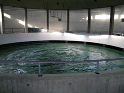 179 Mitgliedsgemeinden und -verbände gehören dem Zweckverband Bodensee-Wasserversorgung an.

Rund 4 Mio. Menschen erhalten ihr Trinkwasser täglich von der Bodenseewasserversorgung.
