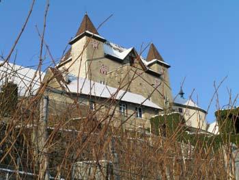 Schlossansicht aus dem Rebgarten.