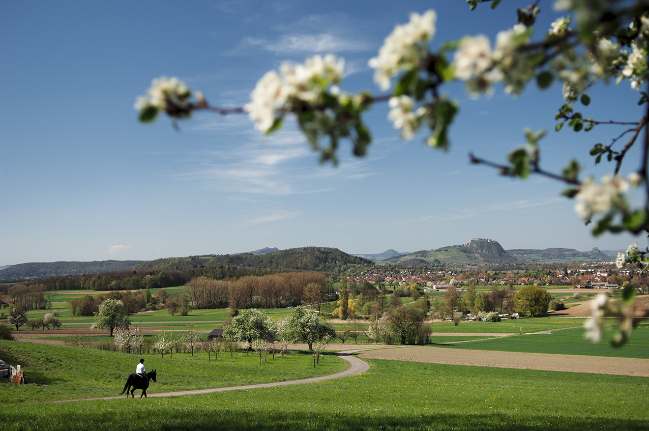 Der Hegau ist eine außergewöhnliche Region. Außergewöhnlich aufgrund seines geologischen Ursprungs, der eine skurrile Topographie geprägt hat. Außergewöhnlich aufgrund seiner Geschichte, die sich noch heute selbst in zahlreichen erhaltenen Festungen und Festungsruinen erzählt. Außergewöhnlich aufgrund seiner Nachbarschaft zur Schweiz, die mit ungewöhnlichen Grenzverläufen und –situationen aufwartet.