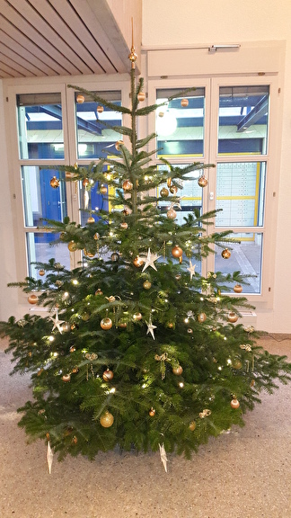 Weihnachtsbaum Gemeindehaus