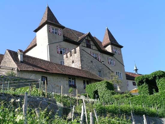 Schloss Wartenfels ist das Wahrzeichen des Niederamtes. Besitzerin ist die Stiftung Schloss Wartenfels, Lostorf. Daran beteiligt sind der Kanton Solothurn, die Einwohnergemeinde Lostorf und die Stadt Olten.