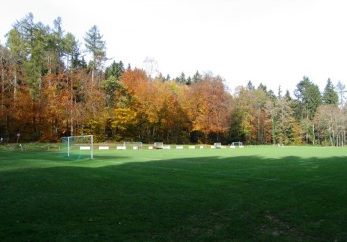 Photo terrain de foot Apples