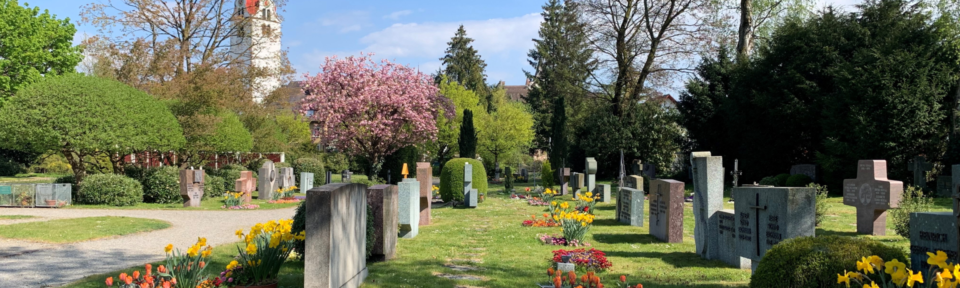 Blick zu den Familiengräber auf dem Friedhof Bremgarten