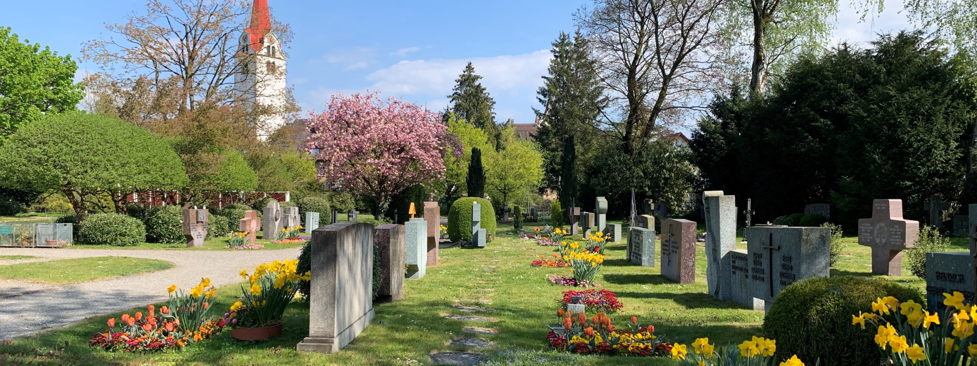 Blick zu den Familiengräber auf dem Friedhof Bremgarten