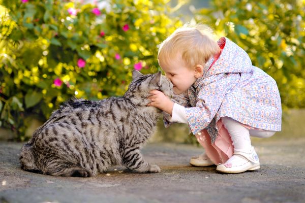Mädchen, das eine Katze küsst