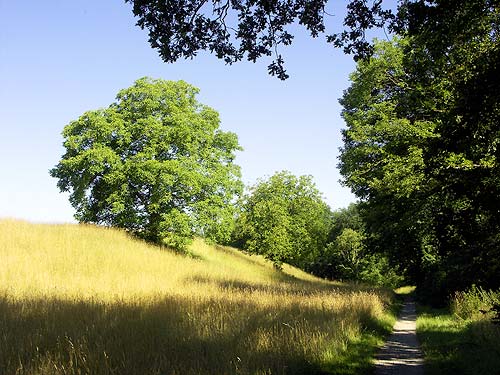 Foto Wanderweg