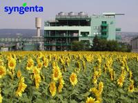 Syngenta