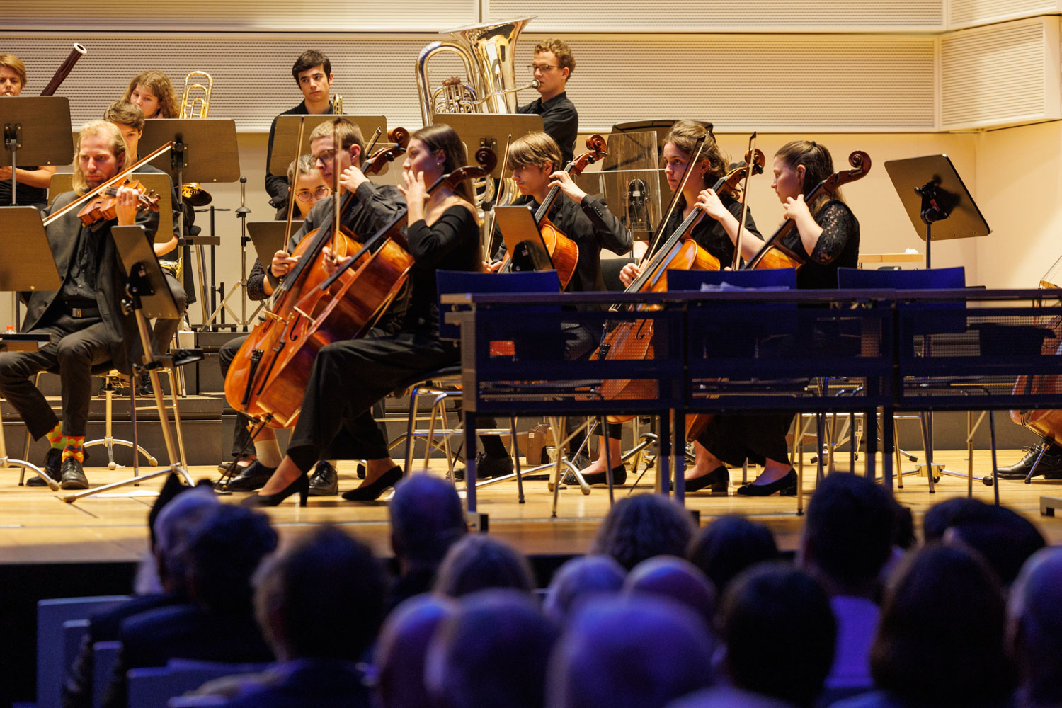 Die Cellist/innen im vollen Einsatz beim Satz «Roma» aus dem «Pulcinella»-Ballett