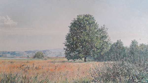 Ernst Burkhard, Ufenau vom Frauenwinkel aus, Öl auf Pavatex, 60x79 cm, 1948