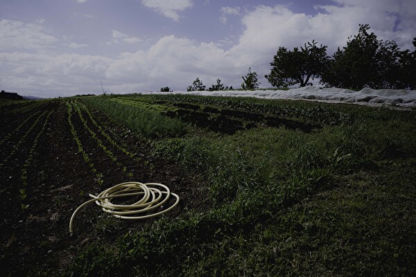 Bild Ausstellung ERDEN