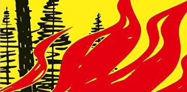 Plakat zum Feuerverbot im Wald und in Waldesnähe