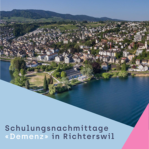 Visual zu den Schulungsnachmittagen zum Thema Demenz, Richterswiler Luftaufnahme vom See her