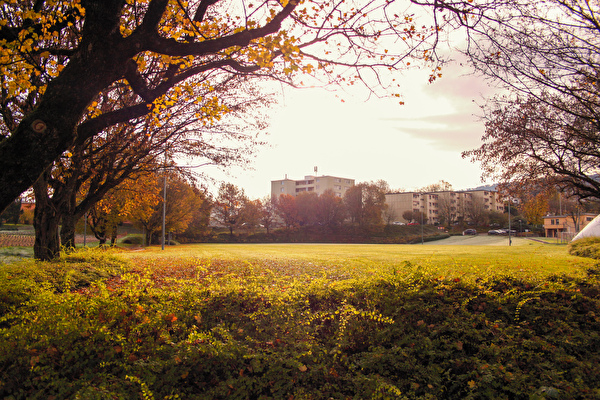 Burgmoos in Herbstfarben