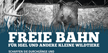 plakat zur kampagne für durchgänge für igel & co.