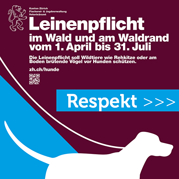 Respektvoller Umgang - Hunde Leinenpflicht