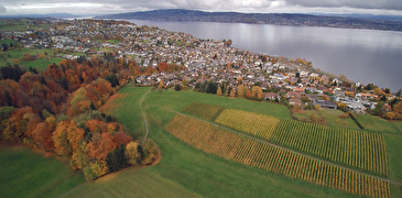 Herbstpanorama Richterswil