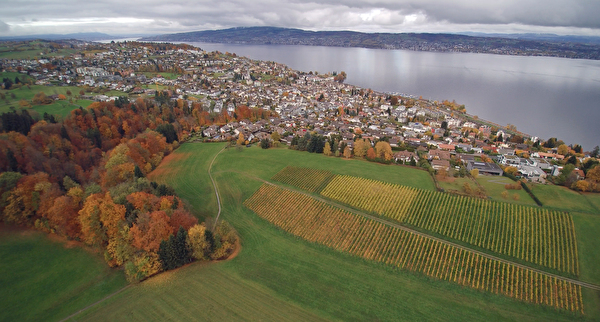 Herbstpanorama Richterswil