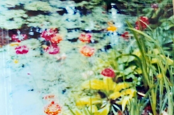 Annelies Štrba, Hiroshima: Videostill AYA 150_2002