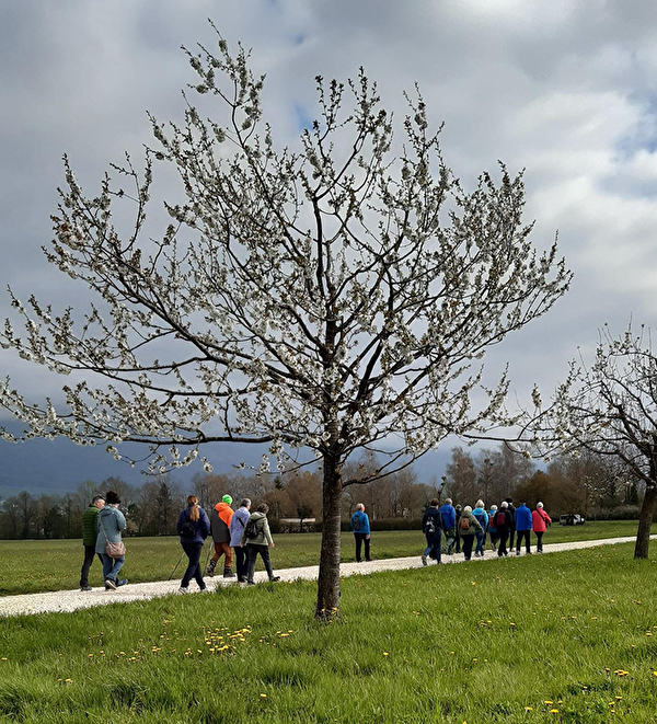 Zäme go laufe - ein Projekt, wo Freiwillige mit älteren Menschen spazieren gehen. Das Bild zeigt einen frühlingshaften Tag und eine Gruppe Wanderer im Hintergrund