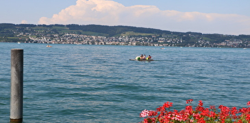 Symbolbild See, Pedalo auf dem Zürichsee