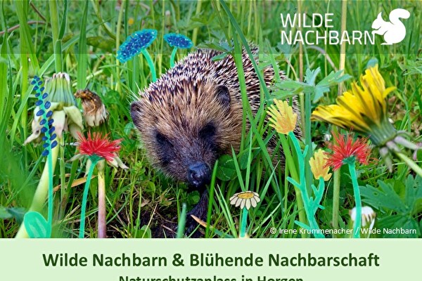Wilde Nachbarn & Blühende NachbarschaftNaturschutzanlassin Horgen