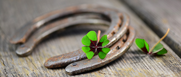 Hufeisen und vierblättriges Kleeblatt