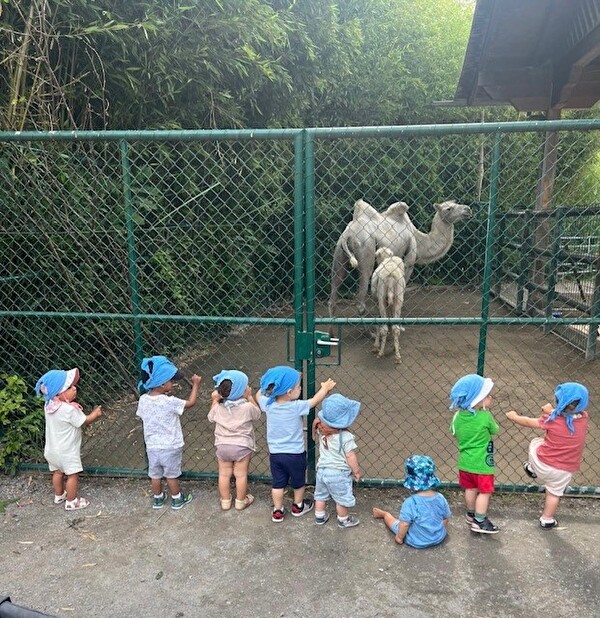 Kita Richterswil und Samstagern: Ausflug in Knies Kinderzoo Rapperswil