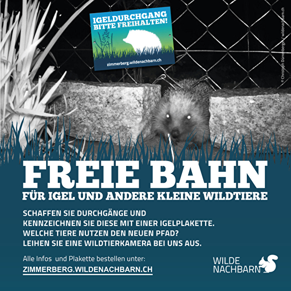plakat zur kampagne für durchgänge für igel & co.