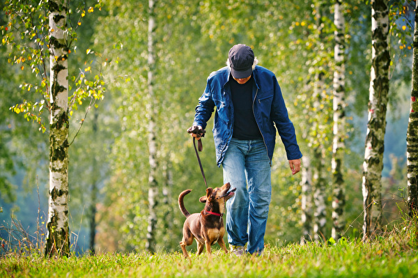 Hundehalter mit Hund im Wald beim Spazieren