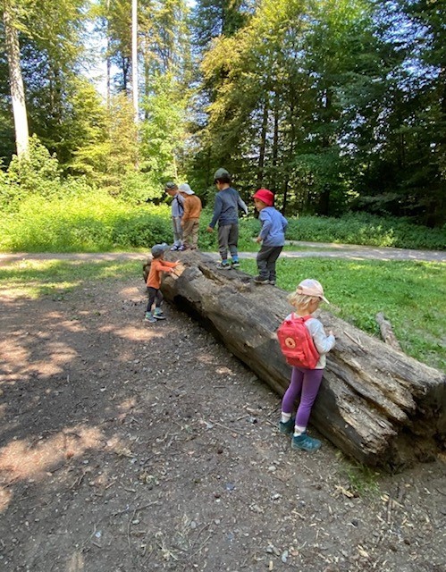 Waldtage in der Kita