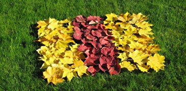 Wappen Richterswil mit Herbstblättern gemacht
