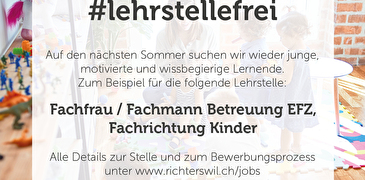 Lehrstellen 2027: Betreuung EFZ
