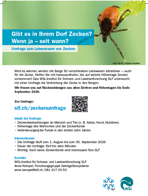 Umfrage Zecken