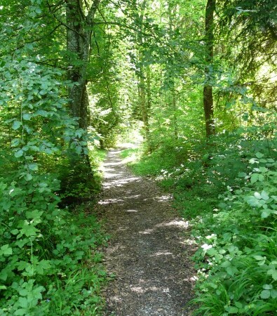 Wanderweg Ärgera