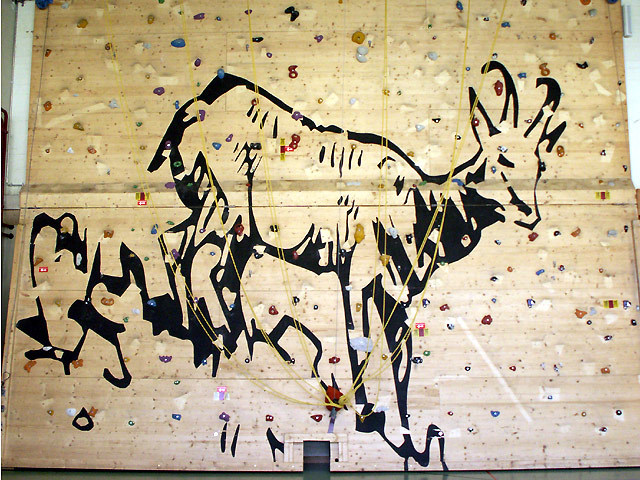 Kletterwand