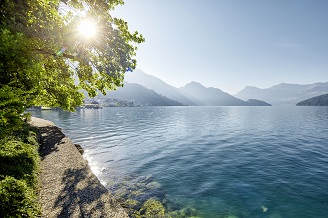 Weggis Sommer
