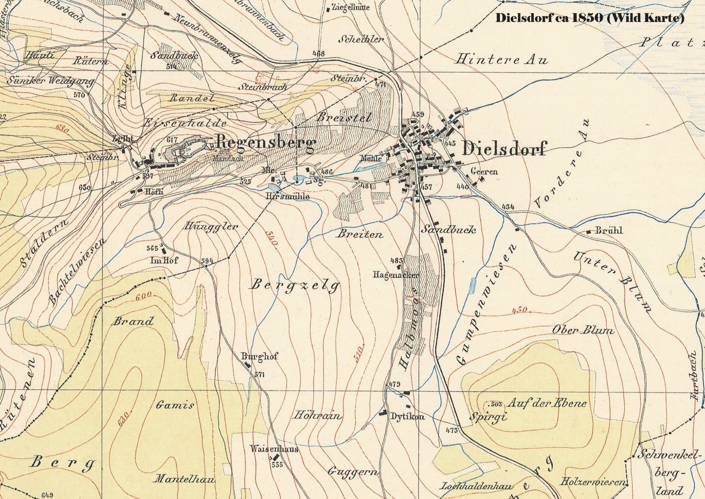 Wild Karte 1850 nur Dielsdorf
