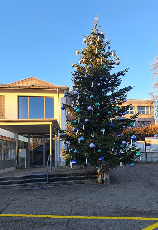 Weihnachtsbaum