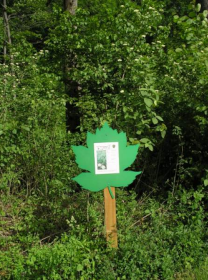 Lehrpfadblatt